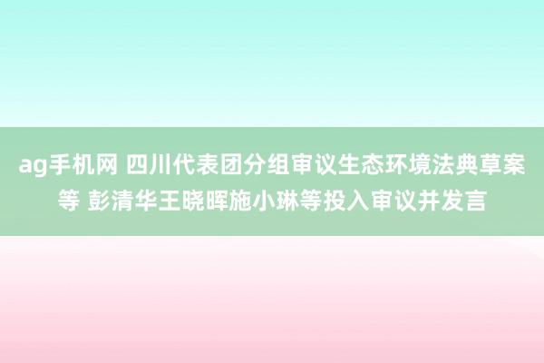 ag手机网 四川代表团分组审议生态环境法典草案等 彭清华王晓晖施小琳等投入审议并发言