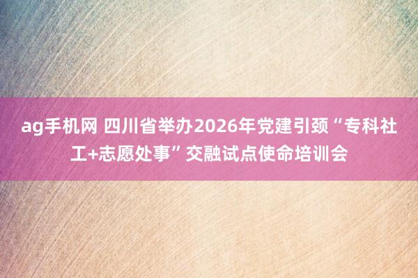 ag手机网 四川省举办2026年党建引颈“专科社工+志愿处事”交融试点使命培训会