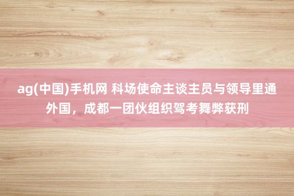 ag(中国)手机网 科场使命主谈主员与领导里通外国，成都一团伙组织驾考舞弊获刑