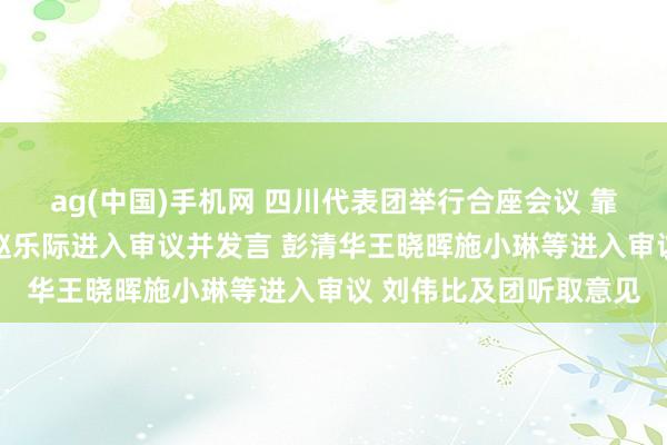 ag(中国)手机网 四川代表团举行合座会议 靠拢审议政府责任报告 赵乐际进入审议并发言 彭清华王晓晖施小琳等进入审议 刘伟比及团听取意见