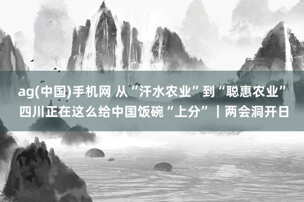 ag(中国)手机网 从“汗水农业”到“聪惠农业” 四川正在这么给中国饭碗“上分”｜两会洞开日