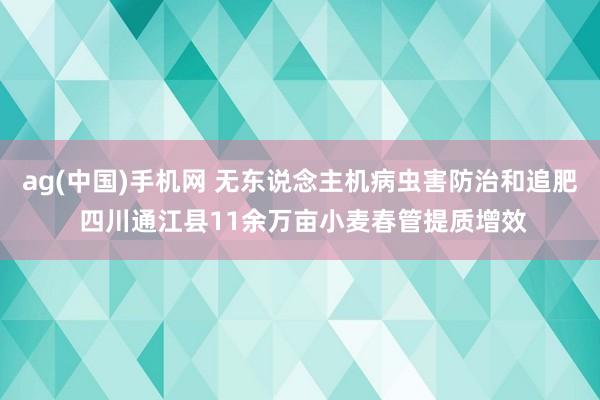 ag(中国)手机网 无东说念主机病虫害防治和追肥 四川通江县11余万亩小麦春管提质增效