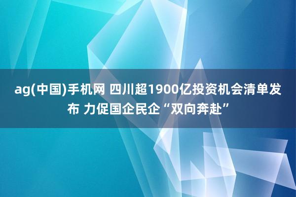 ag(中国)手机网 四川超1900亿投资机会清单发布 力促国企民企“双向奔赴”