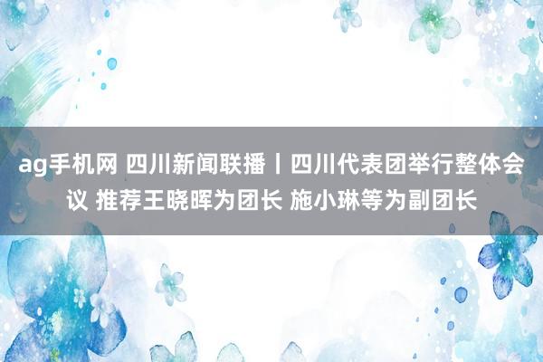 ag手机网 四川新闻联播丨四川代表团举行整体会议 推荐王晓晖为团长 施小琳等为副团长