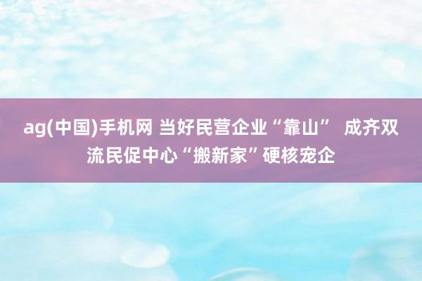 ag(中国)手机网 当好民营企业“靠山”  成齐双流民促中心“搬新家”硬核宠企