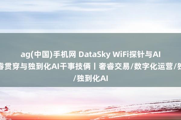 ag(中国)手机网 DataSky WiFi探针与AI云盒奢睿贯穿与独到化AI干事技俩丨奢睿交易/数字化运营/独到化AI