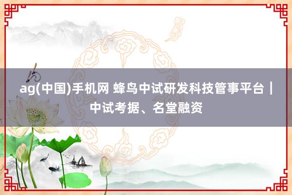 ag(中国)手机网 蜂鸟中试研发科技管事平台︱中试考据、名堂融资