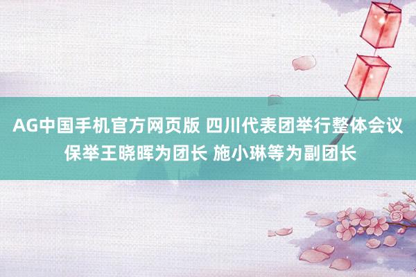 AG中国手机官方网页版 四川代表团举行整体会议 保举王晓晖为团长 施小琳等为副团长