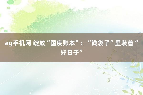 ag手机网 绽放“国度账本”：“钱袋子”里装着“好日子”