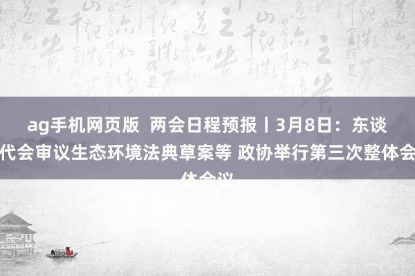 ag手机网页版  两会日程预报丨3月8日：东谈主代会审议生态环境法典草案等 政协举行第三次整体会议