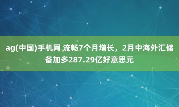 ag(中国)手机网 流畅7个月增长，2月中海外汇储备加多287.29亿好意思元