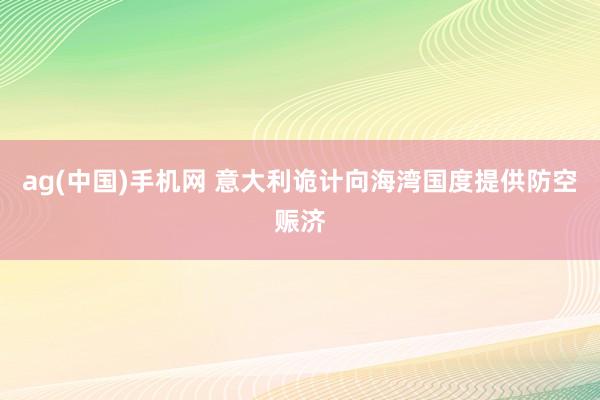 ag(中国)手机网 意大利诡计向海湾国度提供防空赈济