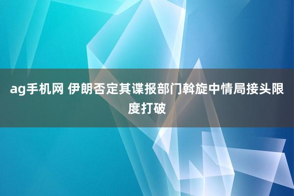 ag手机网 伊朗否定其谍报部门斡旋中情局接头限度打破