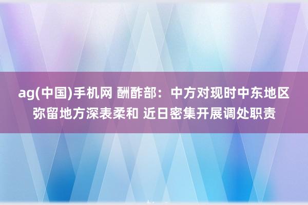 ag(中国)手机网 酬酢部：中方对现时中东地区弥留地方深表柔和 近日密集开展调处职责