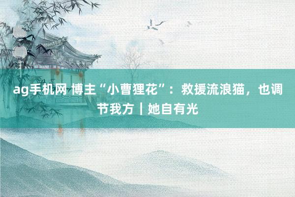 ag手机网 博主“小曹狸花”：救援流浪猫，也调节我方｜她自有光
