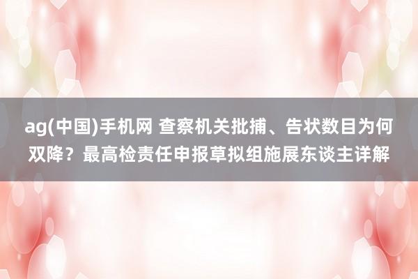 ag(中国)手机网 查察机关批捕、告状数目为何双降？最高检责任申报草拟组施展东谈主详解