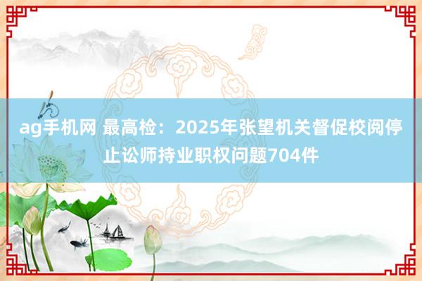 ag手机网 最高检：2025年张望机关督促校阅停止讼师持业职权问题704件