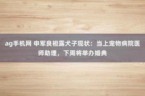 ag手机网 申军良袒露犬子现状：当上宠物病院医师助理，下周将举办婚典