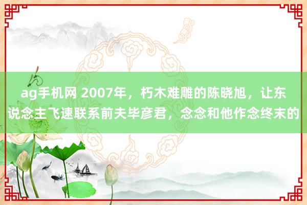 ag手机网 2007年，朽木难雕的陈晓旭，让东说念主飞速联系前夫毕彦君，念念和他作念终末的
