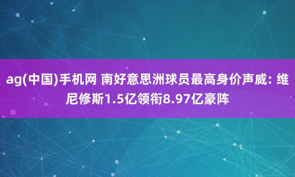 ag(中国)手机网 南好意思洲球员最高身价声威: 维尼修斯1.5亿领衔8.97亿豪阵
