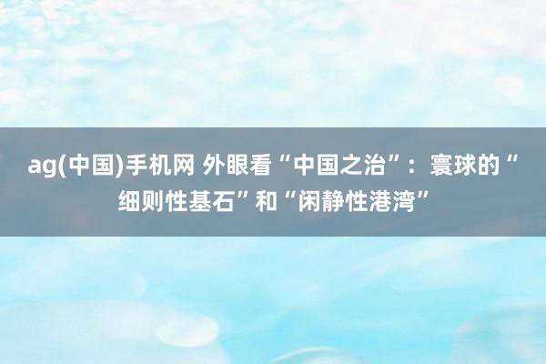 ag(中国)手机网 外眼看“中国之治”：寰球的“细则性基石”和“闲静性港湾”