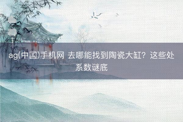 ag(中国)手机网 去哪能找到陶瓷大缸？这些处系数谜底