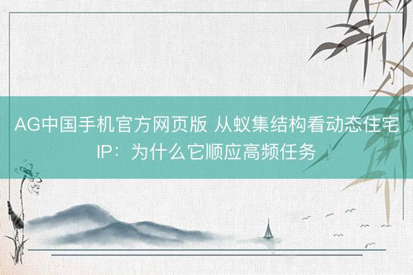 AG中国手机官方网页版 从蚁集结构看动态住宅IP：为什么它顺应高频任务
