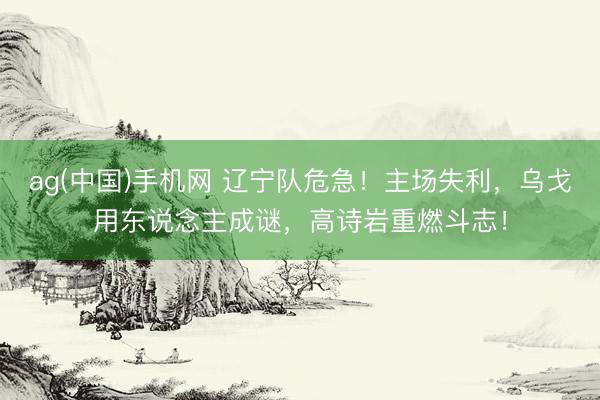 ag(中国)手机网 辽宁队危急！主场失利，乌戈用东说念主成谜，高诗岩重燃斗志！