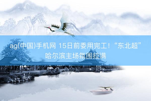 ag(中国)手机网 15日前委用完工!“东北超”哈尔滨主场氛围拉满
