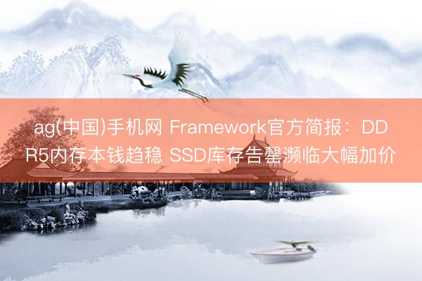 ag(中国)手机网 Framework官方简报：DDR5内存本钱趋稳 SSD库存告罄濒临大幅加价