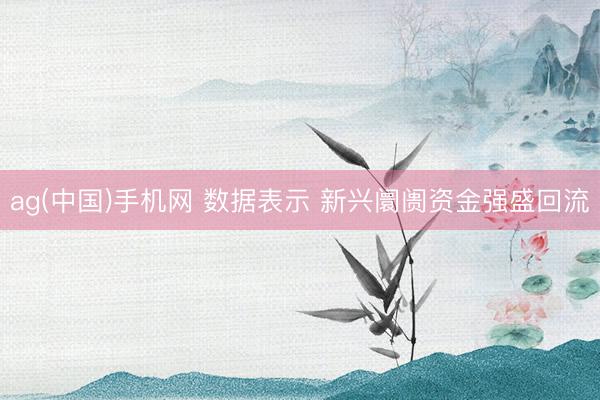 ag(中国)手机网 数据表示 新兴阛阓资金强盛回流