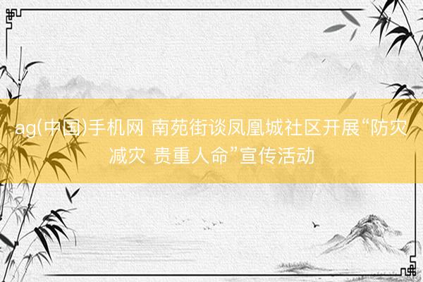 ag(中国)手机网 南苑街谈凤凰城社区开展“防灾减灾 贵重人命”宣传活动