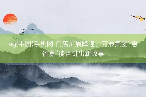 ag(中国)手机网 门店扩展降速，万辰集团“惠省嘉”能否讲出新故事