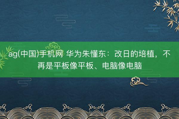 ag(中国)手机网 华为朱懂东:改日的培植,不再是平板像平板、电脑像电脑