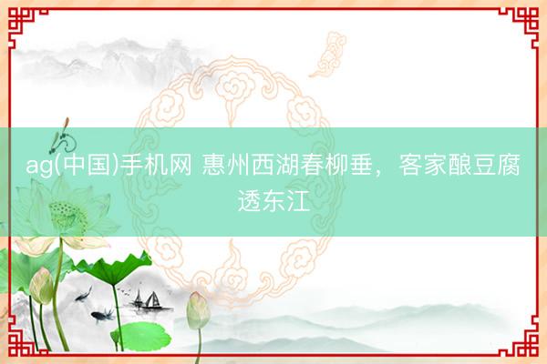 ag(中国)手机网 惠州西湖春柳垂,客家酿豆腐透东江