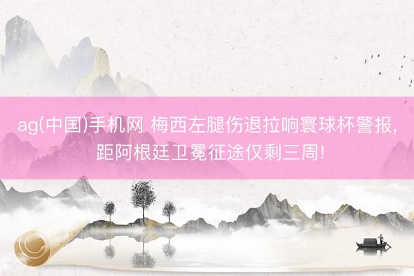 ag(中国)手机网 梅西左腿伤退拉响寰球杯警报, 距阿根廷卫冕征途仅剩三周!