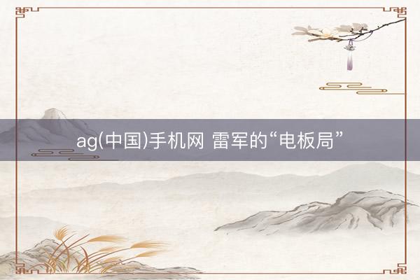 ag(中国)手机网 雷军的“电板局”