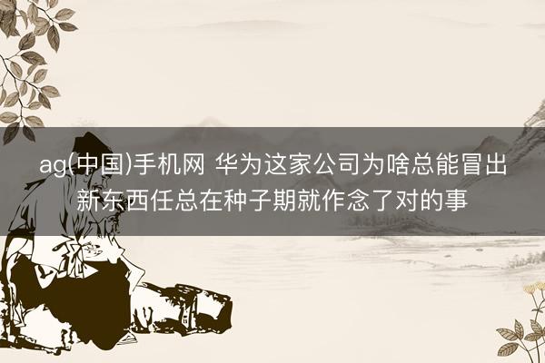ag(中国)手机网 华为这家公司为啥总能冒出新东西任总在种子期就作念了对的事