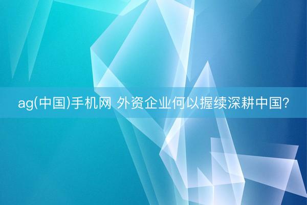 ag(中国)手机网 外资企业何以握续深耕中国?
