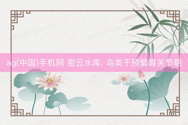 ag(中国)手机网 密云水库: 鸟类干预繁育关节期