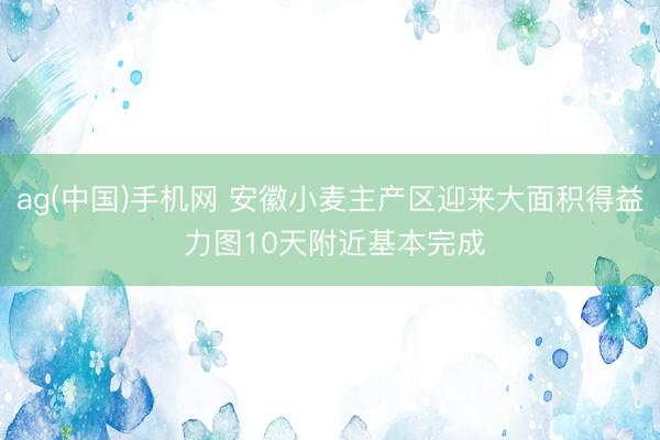 ag(中国)手机网 安徽小麦主产区迎来大面积得益 力图10天附近基本完成