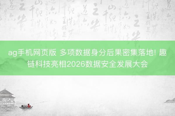 ag手机网页版 多项数据身分后果密集落地! 趣链科技亮相2026数据安全发展大会