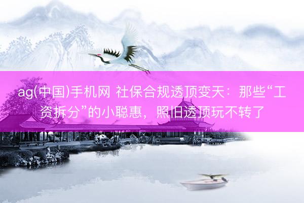 ag(中国)手机网 社保合规透顶变天:那些“工资拆分”的小聪惠,照旧透顶玩不转了