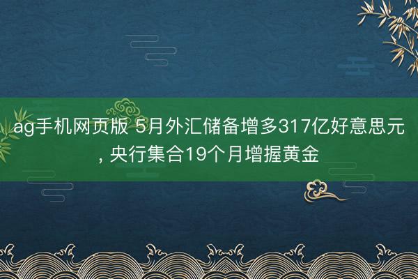 ag手机网页版 5月外汇储备增多317亿好意思元， 央行集合19个月增握黄金