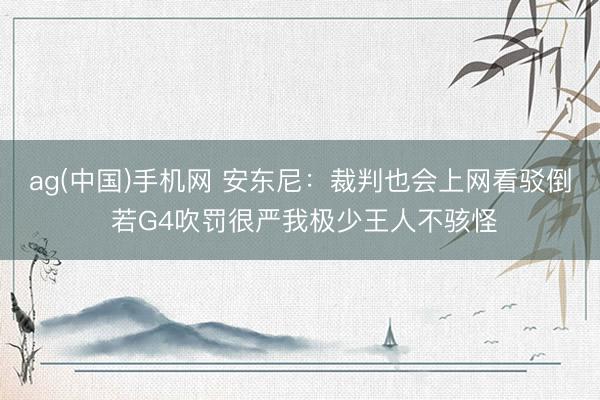 ag(中国)手机网 安东尼：裁判也会上网看驳倒 若G4吹罚很严我极少王人不骇怪