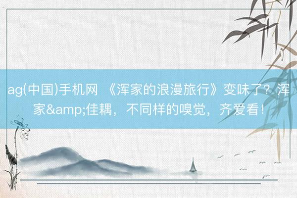 ag(中国)手机网 《浑家的浪漫旅行》变味了？浑家&佳耦，不同样的嗅觉，齐爱看！