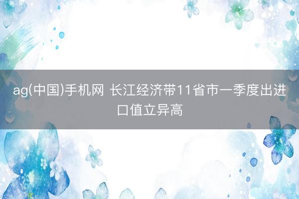 ag(中国)手机网 长江经济带11省市一季度出进口值立异高