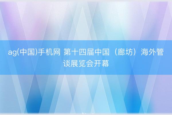 ag(中国)手机网 第十四届中国（廊坊）海外管谈展览会开幕