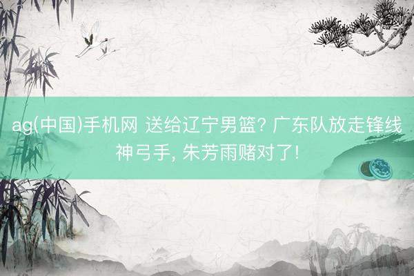 ag(中国)手机网 送给辽宁男篮? 广东队放走锋线神弓手， 朱芳雨赌对了!
