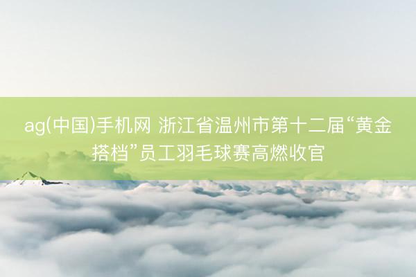 ag(中国)手机网 浙江省温州市第十二届“黄金搭档”员工羽毛球赛高燃收官